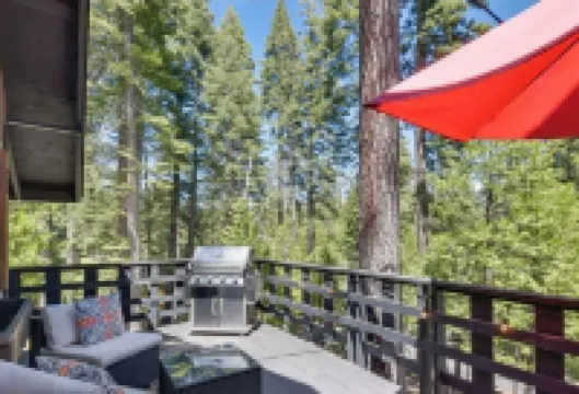 Cozy Cabin in the woods.