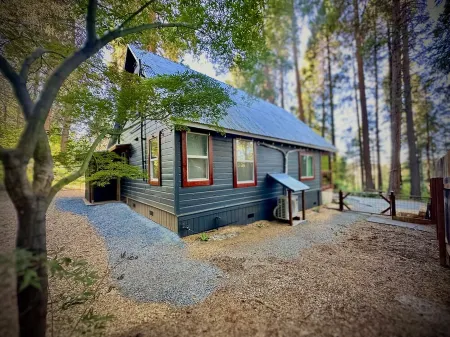 Forest Mountain Cabin, minutes to Downtown, trails, rivers & lakes