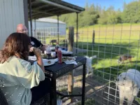 Stay with goats! Hotels in Marietta-Alderwood