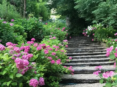 Chateau De Moulin - AS seen on Monsieur Spade TV Show