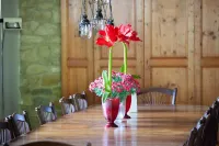 Poggio Ginepro Assisi with private pool, maximum privacy