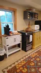 Cozy 4 season waterfront cottage in the white mountains on the bearcamp river! 奧西皮住宿飯店