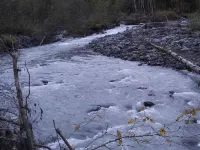 Unplug at this Mt. Baker Cabin in the Hot Tub, enjoy massage chair & rain shower Hotels in Glacier