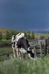 Custom, Countryside Barndominium for Multi-Family near Bozeman - Hot Springs