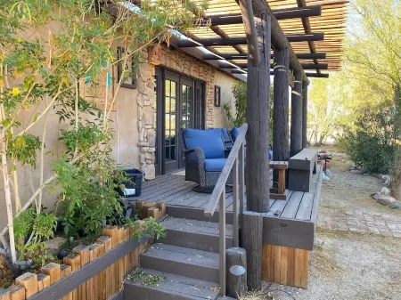 Patch of grass Ocotillo