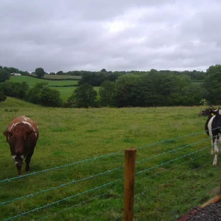 Refuge in the Countryside on Foothills of Sperrin Mountains