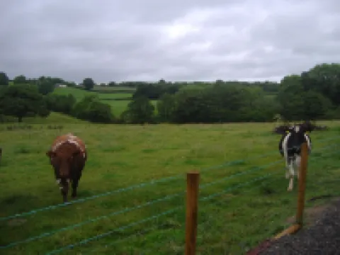 Refuge in the Countryside on Foothills of Sperrin Mountains Hotels in Magherafelt