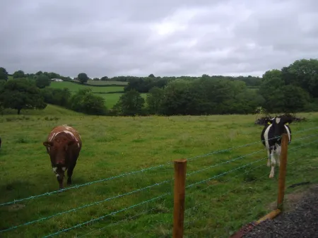 Refuge in the Countryside on Foothills of Sperrin Mountains