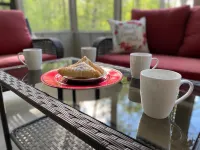 "The Desoto Oasis Hot Springs Village