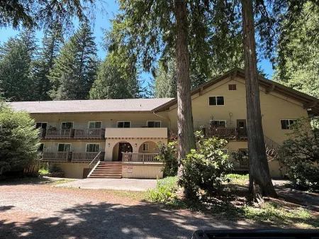 INN the Mountains Mt Baker • Ski•Hike•Pets • Glacier