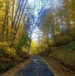 The Blue Heron Getaway on Claytor ake in the Appalachian Mountains of Virginia