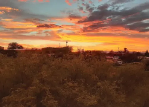 The Cactus Rose - A Spacious Retreat