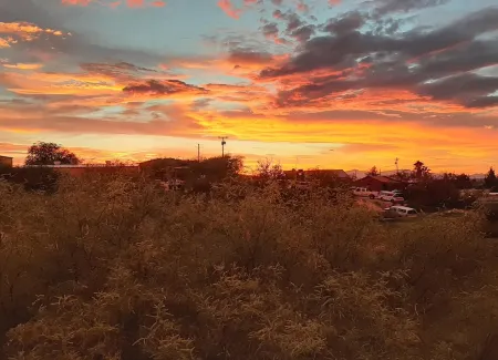 The Cactus Rose - A Spacious Retreat