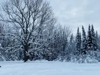 Lodge-Style Northwoods Home Permit: TBES-BBSMJP
