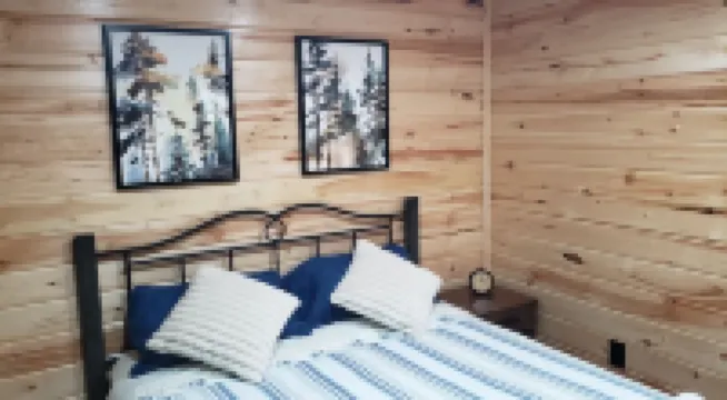 Bear Cabin: Charming 2-bedroom cabin with WiFi, AC in marvelous Sebec