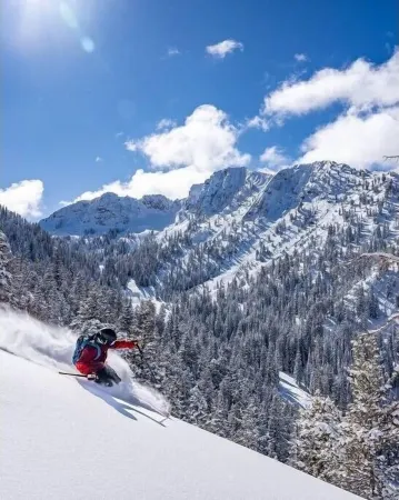 New! Eagle Springs Chalet