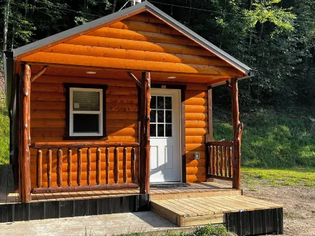 Rustic Retreat at Backwoods Bungalow – Secluded Cabin with Modern Comforts Отели в г. Пайк