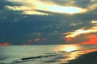Stylish modern beach view unit, w/ Bch & Pool, dog friendly!