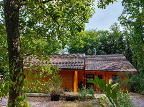 Vacation home in the Wetzlar cherry grove