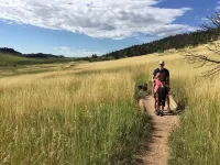 Fully Renovated Old Town Cottage Close to Downtown, City Park, and University