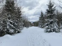 Spacious vacation apartment for up to 8 people, within walking distance of the center.