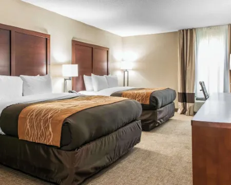 Comfort Inn Blue Ash North Hotels in Blue Ash