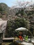 Ryujin Village Oku-Komatagawa Bungalow Hotels near Ryujin Onsen