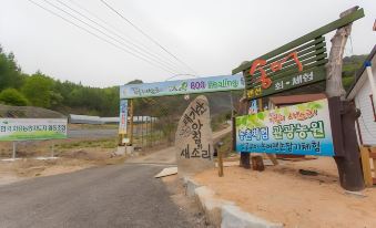 Gangwon Taegisan Morning Birdsong