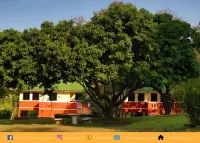 ViangPhing Resort Hotels in Mae Chan