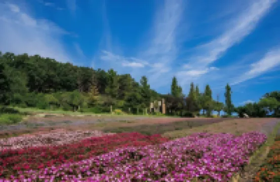 연천 허브빌리지 24년 7월 리모델링 전 객실 취사 가능