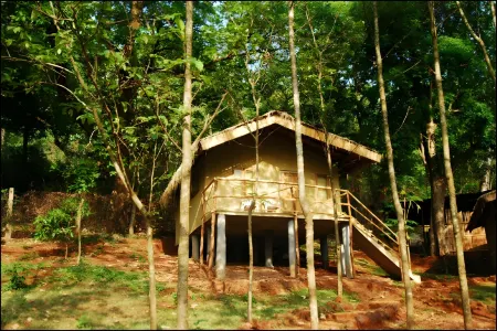 Old Magazine House - Jungle Lodges