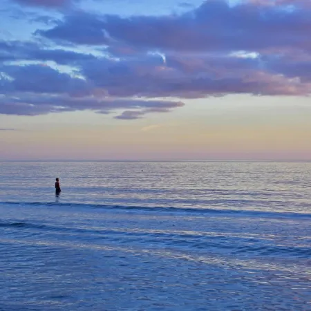 Anna Maria Island Beach Palms 6B