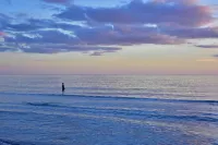Anna Maria Island Beach Palms 6B - de playa