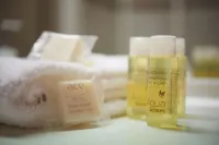 Ace Hôtel Lyon Vénissieux Parc des Expositions