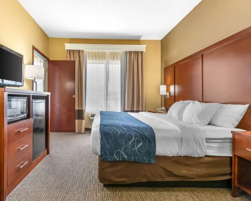 Comfort Suites Findlay I-75 Near Sports Complex Hotels in Findlay