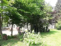 Charming Cottage with Pool in Houffalize