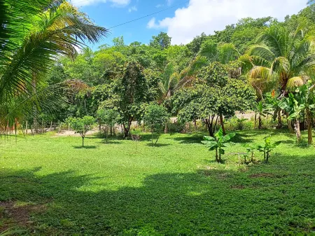 The Cabins at Monkey Fall Отели в г. Севен Майлс Эль Прогрессо