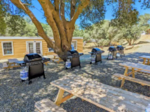 Wildhaven Yosemite Glamping Hotels in Mariposa County