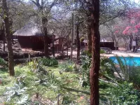 ThabaNkwe Bushveld Inn - Pools