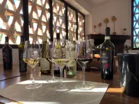Tenuta Sovestro - Barer