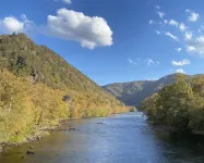 Cabin with a view! Walk to Appalachian Trail
