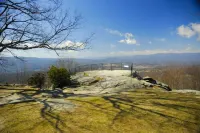 Downtown Brews & Clues