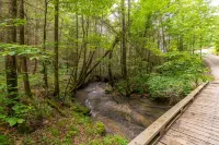 WiFi & Waterfront - Cozy Creek - Minimalist Camper's Cabin in Red River Gorge, Kentucky! Hotels in Beattyville