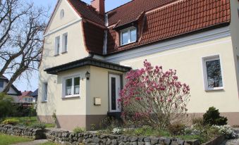 Cosy Apartment in the Harz Mountains - Housity