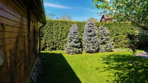 海邊小屋，蜜瓜旅館
