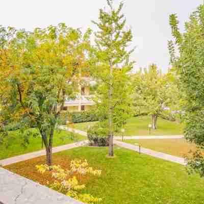 Residence San Francesco - Italian Homing Others