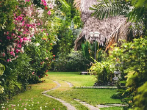 Kariwak Village Holistic Haven and Hotel Hotels in Tobago