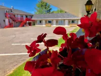 Motel Chantmartin Hotels in Tadoussac