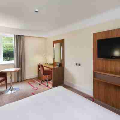 北紐伯裏希爾頓逸林酒店 Rooms