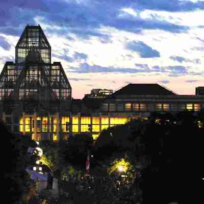 渥太華市中心萬豪萬怡酒店 Hotel Exterior